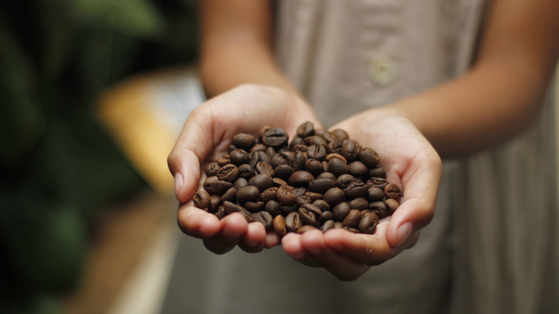 厳選された豆で淹れたコーヒーは美味しいですね。コーヒー豆には高品質豆が存在することはご存知ですか？